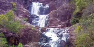 Unveil 8a21a6f614db065bb1ca2c21a5c803aede783f93e5277febbd47f37d9dbae4ca