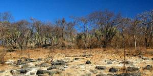 Unveil 8a21a6f614db065bb1ca2c21a5c803aede783f93e5277febbd47f37d9dbae4ca