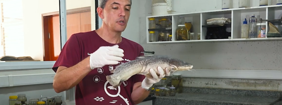 imagem de destaque