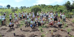 Unveil 8a21a6f614db065bb1ca2c21a5c803aede783f93e5277febbd47f37d9dbae4ca