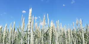 Unveil 8a21a6f614db065bb1ca2c21a5c803aede783f93e5277febbd47f37d9dbae4ca