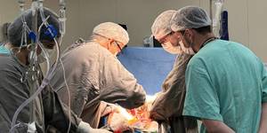 Unveil 8a21a6f614db065bb1ca2c21a5c803aede783f93e5277febbd47f37d9dbae4ca