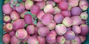 Unveil 8a21a6f614db065bb1ca2c21a5c803aede783f93e5277febbd47f37d9dbae4ca