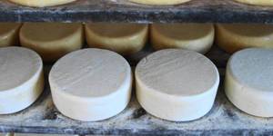 Unveil 8a21a6f614db065bb1ca2c21a5c803aede783f93e5277febbd47f37d9dbae4ca