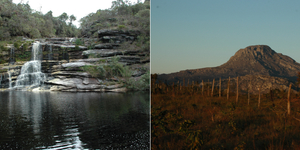 Unveil 8a21a6f614db065bb1ca2c21a5c803aede783f93e5277febbd47f37d9dbae4ca