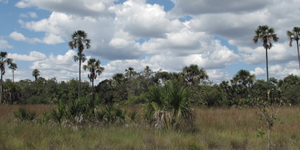 Unveil 8a21a6f614db065bb1ca2c21a5c803aede783f93e5277febbd47f37d9dbae4ca