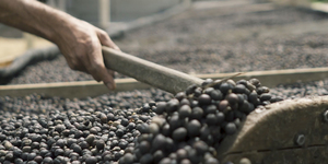 Unveil 8a21a6f614db065bb1ca2c21a5c803aede783f93e5277febbd47f37d9dbae4ca