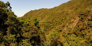 Unveil 8a21a6f614db065bb1ca2c21a5c803aede783f93e5277febbd47f37d9dbae4ca