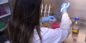 Unveil 8a21a6f614db065bb1ca2c21a5c803aede783f93e5277febbd47f37d9dbae4ca