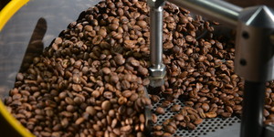 Unveil 8a21a6f614db065bb1ca2c21a5c803aede783f93e5277febbd47f37d9dbae4ca