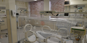 Unveil 8a21a6f614db065bb1ca2c21a5c803aede783f93e5277febbd47f37d9dbae4ca