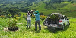 Unveil 8a21a6f614db065bb1ca2c21a5c803aede783f93e5277febbd47f37d9dbae4ca