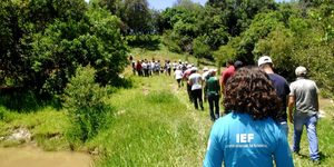 Unveil 8a21a6f614db065bb1ca2c21a5c803aede783f93e5277febbd47f37d9dbae4ca