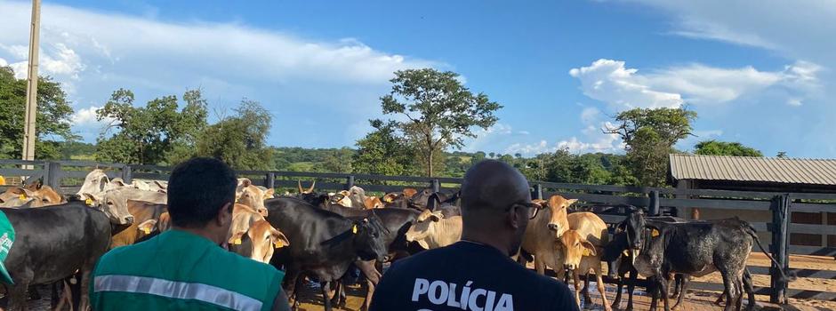 imagem de destaque