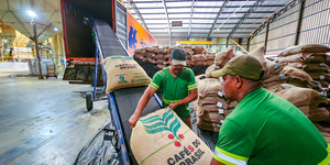 Unveil 8a21a6f614db065bb1ca2c21a5c803aede783f93e5277febbd47f37d9dbae4ca