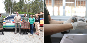 Unveil 8a21a6f614db065bb1ca2c21a5c803aede783f93e5277febbd47f37d9dbae4ca