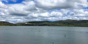 Unveil 8a21a6f614db065bb1ca2c21a5c803aede783f93e5277febbd47f37d9dbae4ca