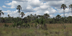 Unveil 8a21a6f614db065bb1ca2c21a5c803aede783f93e5277febbd47f37d9dbae4ca