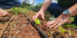 Unveil 8a21a6f614db065bb1ca2c21a5c803aede783f93e5277febbd47f37d9dbae4ca