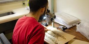 Unveil 8a21a6f614db065bb1ca2c21a5c803aede783f93e5277febbd47f37d9dbae4ca