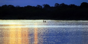 Unveil 8a21a6f614db065bb1ca2c21a5c803aede783f93e5277febbd47f37d9dbae4ca