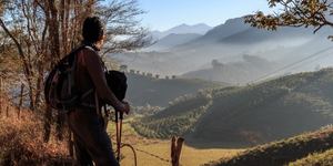 Unveil 8a21a6f614db065bb1ca2c21a5c803aede783f93e5277febbd47f37d9dbae4ca