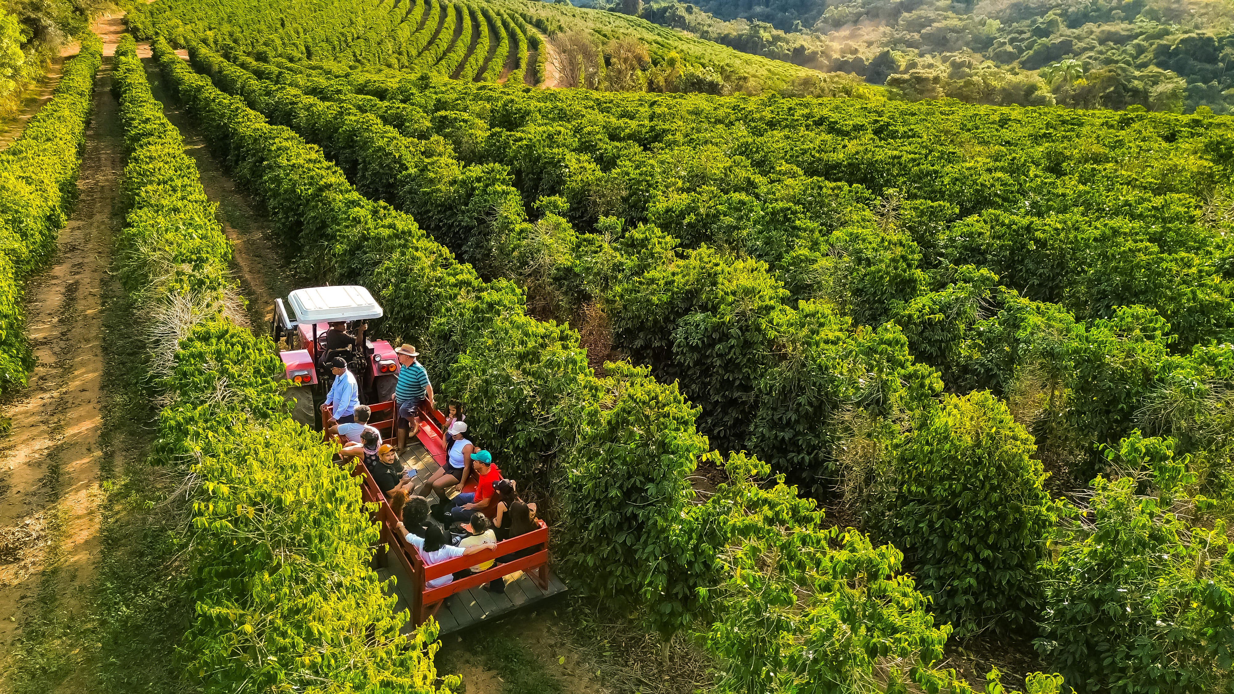 Refúgio rural está em alta: e não é por acaso