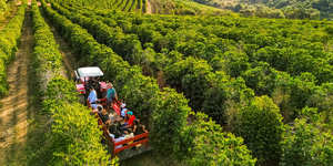 Unveil 8a21a6f614db065bb1ca2c21a5c803aede783f93e5277febbd47f37d9dbae4ca