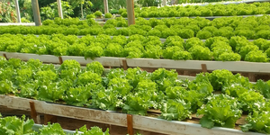 Unveil 8a21a6f614db065bb1ca2c21a5c803aede783f93e5277febbd47f37d9dbae4ca