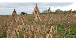 Unveil 8a21a6f614db065bb1ca2c21a5c803aede783f93e5277febbd47f37d9dbae4ca