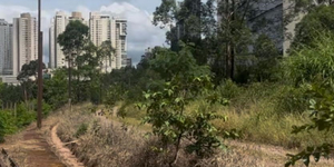 Unveil 8a21a6f614db065bb1ca2c21a5c803aede783f93e5277febbd47f37d9dbae4ca