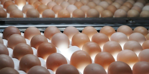 Unveil 8a21a6f614db065bb1ca2c21a5c803aede783f93e5277febbd47f37d9dbae4ca