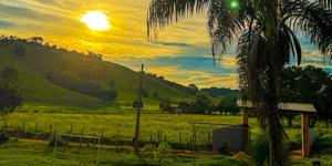 Unveil 8a21a6f614db065bb1ca2c21a5c803aede783f93e5277febbd47f37d9dbae4ca