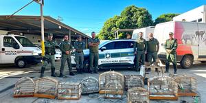 Unveil 8a21a6f614db065bb1ca2c21a5c803aede783f93e5277febbd47f37d9dbae4ca