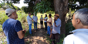 Unveil 8a21a6f614db065bb1ca2c21a5c803aede783f93e5277febbd47f37d9dbae4ca