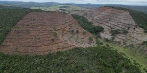 Unveil 8a21a6f614db065bb1ca2c21a5c803aede783f93e5277febbd47f37d9dbae4ca