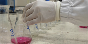 Unveil 8a21a6f614db065bb1ca2c21a5c803aede783f93e5277febbd47f37d9dbae4ca