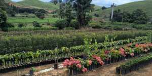 Unveil 8a21a6f614db065bb1ca2c21a5c803aede783f93e5277febbd47f37d9dbae4ca