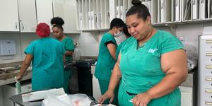 Unveil 8a21a6f614db065bb1ca2c21a5c803aede783f93e5277febbd47f37d9dbae4ca