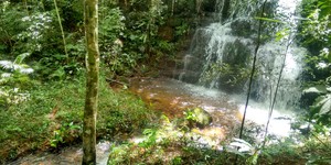 Unveil 8a21a6f614db065bb1ca2c21a5c803aede783f93e5277febbd47f37d9dbae4ca