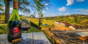 Unveil 8a21a6f614db065bb1ca2c21a5c803aede783f93e5277febbd47f37d9dbae4ca