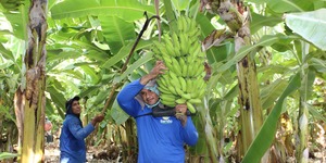 Unveil 8a21a6f614db065bb1ca2c21a5c803aede783f93e5277febbd47f37d9dbae4ca