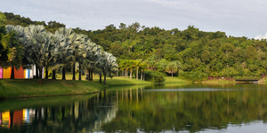 Unveil 8a21a6f614db065bb1ca2c21a5c803aede783f93e5277febbd47f37d9dbae4ca