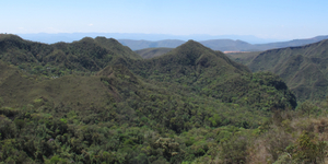 Unveil 8a21a6f614db065bb1ca2c21a5c803aede783f93e5277febbd47f37d9dbae4ca