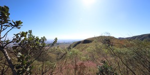 Unveil 8a21a6f614db065bb1ca2c21a5c803aede783f93e5277febbd47f37d9dbae4ca