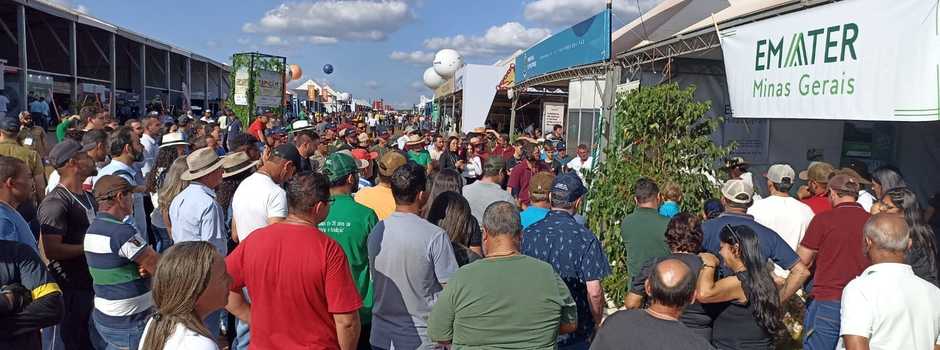 imagem de destaque