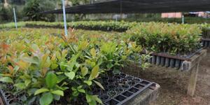 Unveil 8a21a6f614db065bb1ca2c21a5c803aede783f93e5277febbd47f37d9dbae4ca