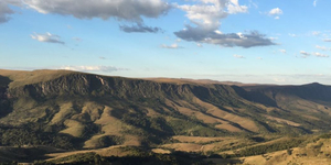 Unveil 8a21a6f614db065bb1ca2c21a5c803aede783f93e5277febbd47f37d9dbae4ca