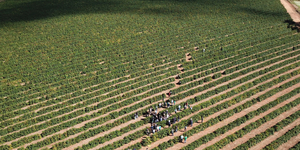 Unveil 8a21a6f614db065bb1ca2c21a5c803aede783f93e5277febbd47f37d9dbae4ca