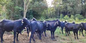 Unveil 8a21a6f614db065bb1ca2c21a5c803aede783f93e5277febbd47f37d9dbae4ca